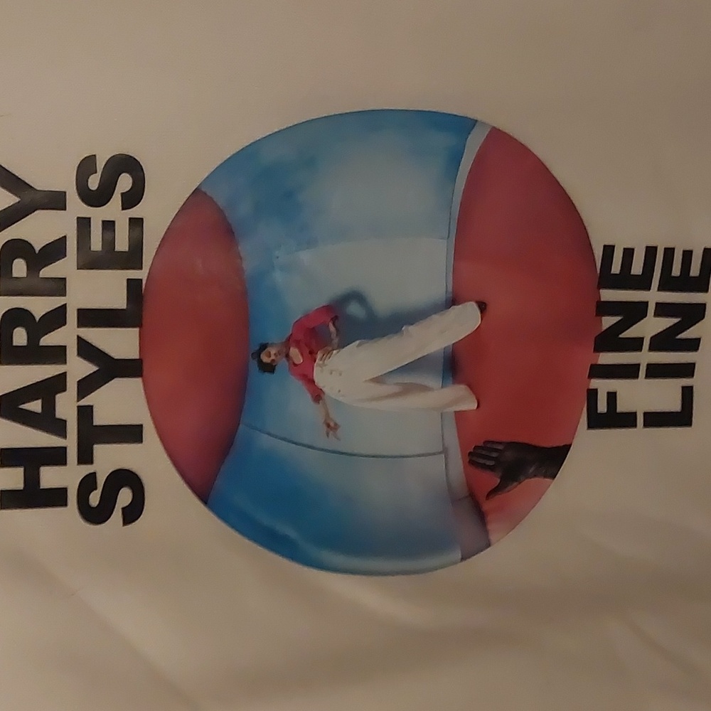 Harry Styles Concert Sweatshirt Size 2XL Fits like XL - Picture 2 of 4